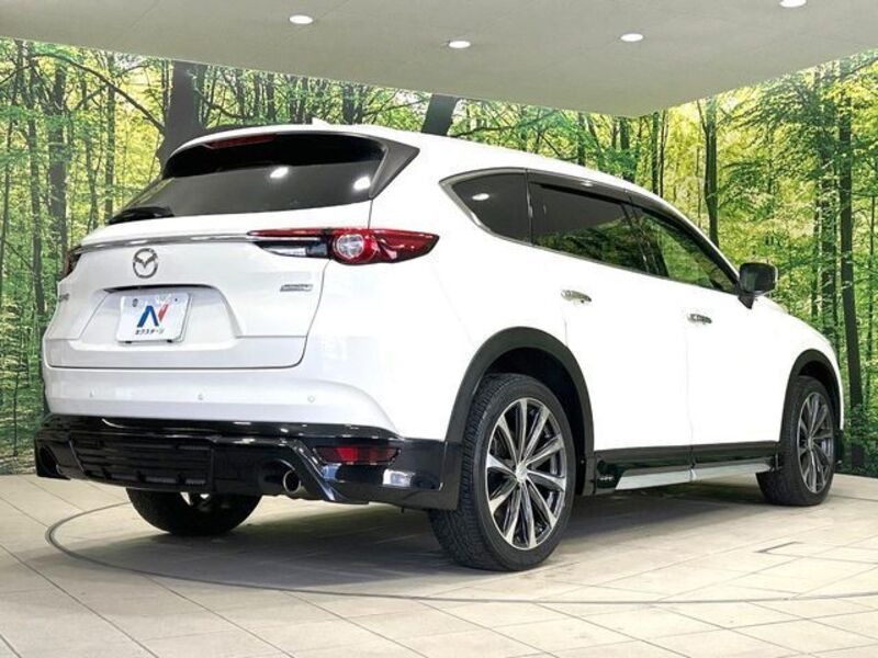 CX-8