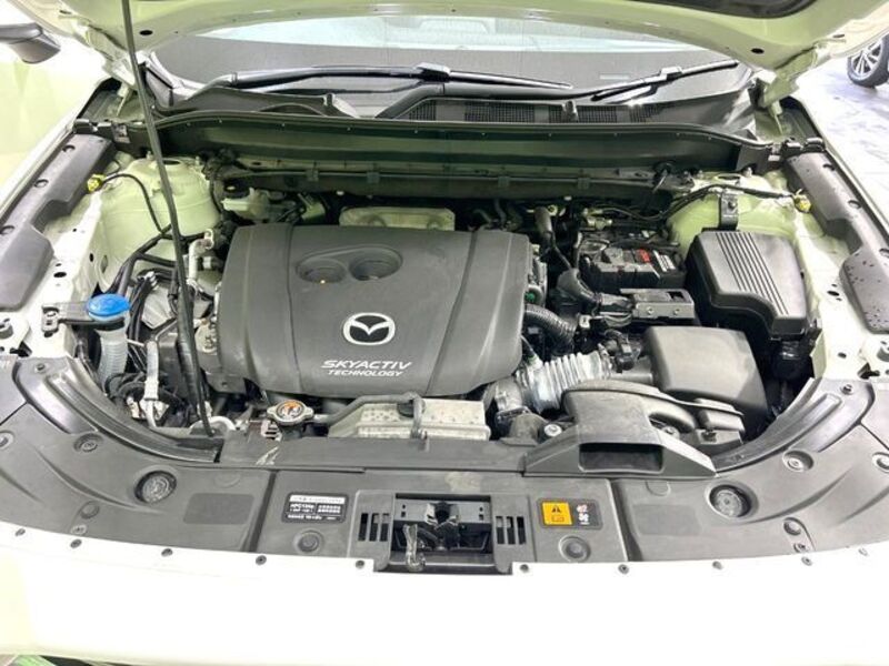 CX-8