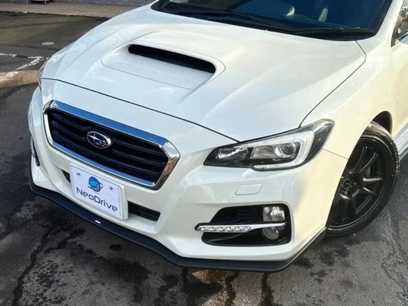 LEVORG