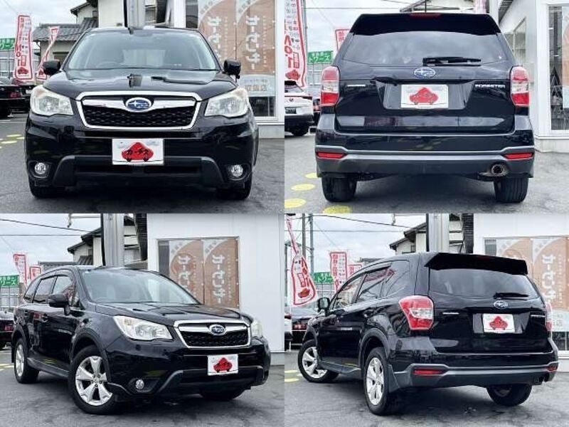 FORESTER