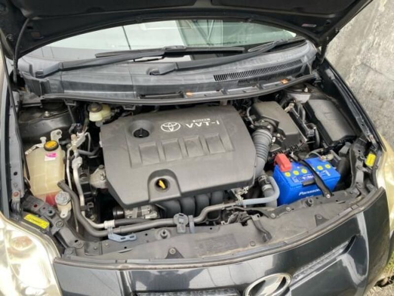 AURIS