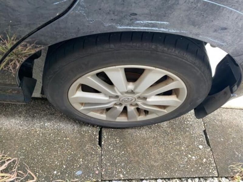 AURIS