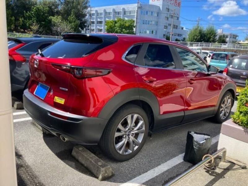 CX-30