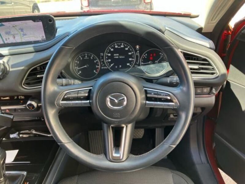CX-30