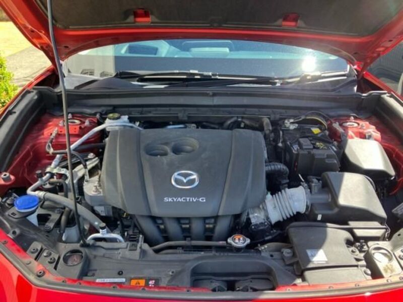 CX-30
