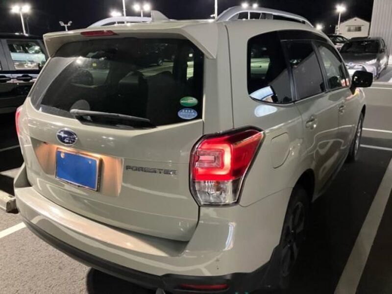 FORESTER