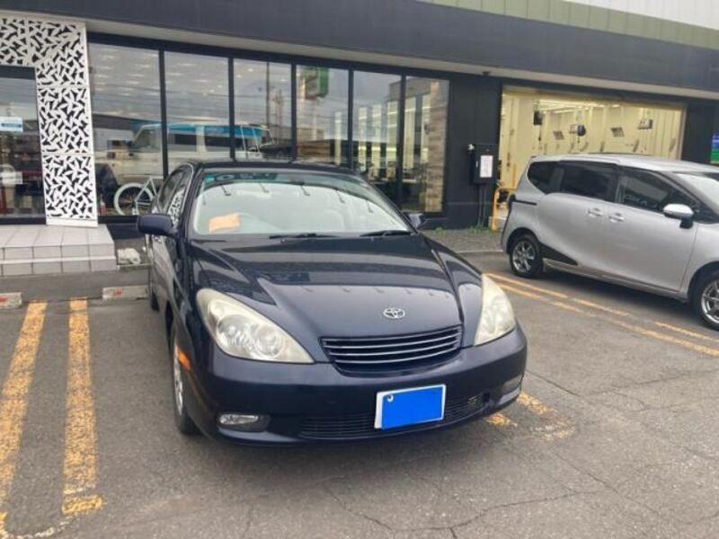 TOYOTA WINDOM
