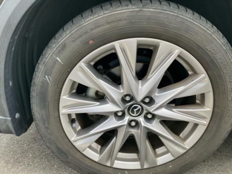 CX-8