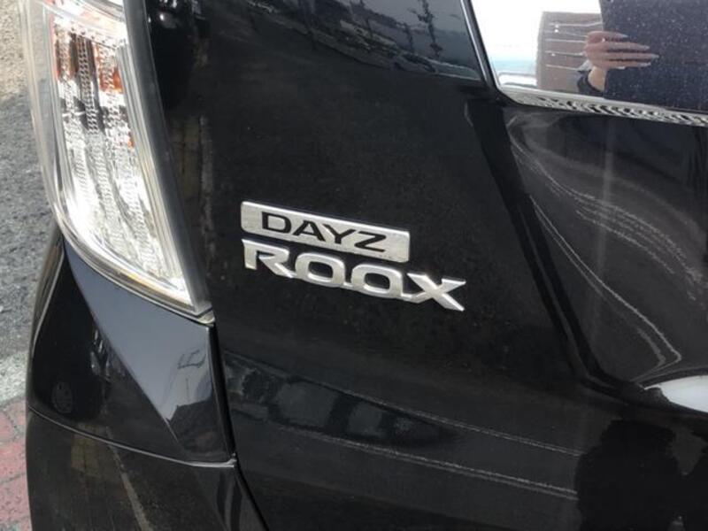 DAYZ ROOX