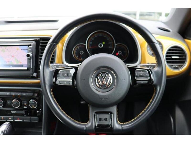 THE BEETLE
