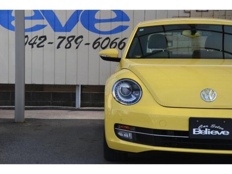 THE BEETLE