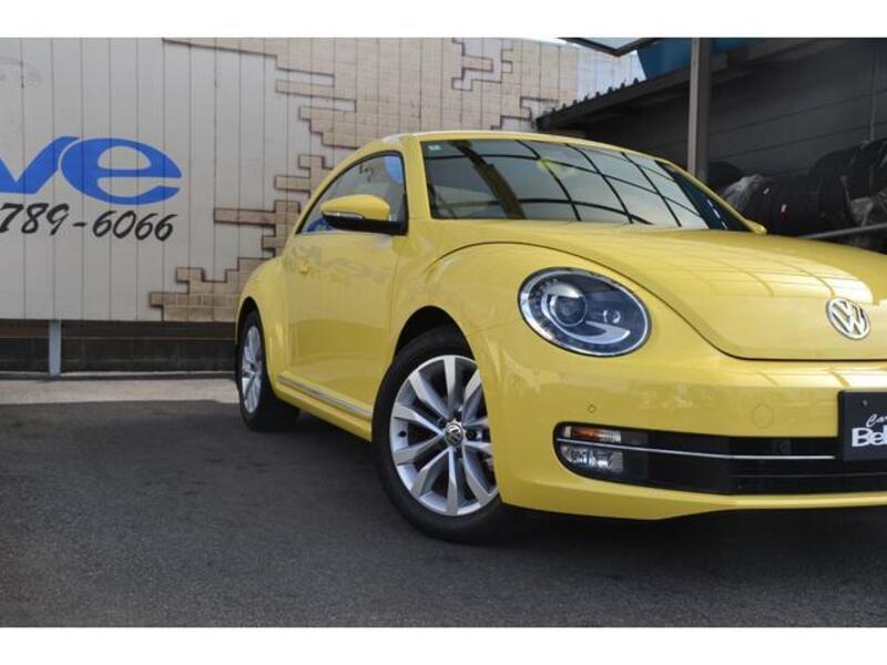 THE BEETLE