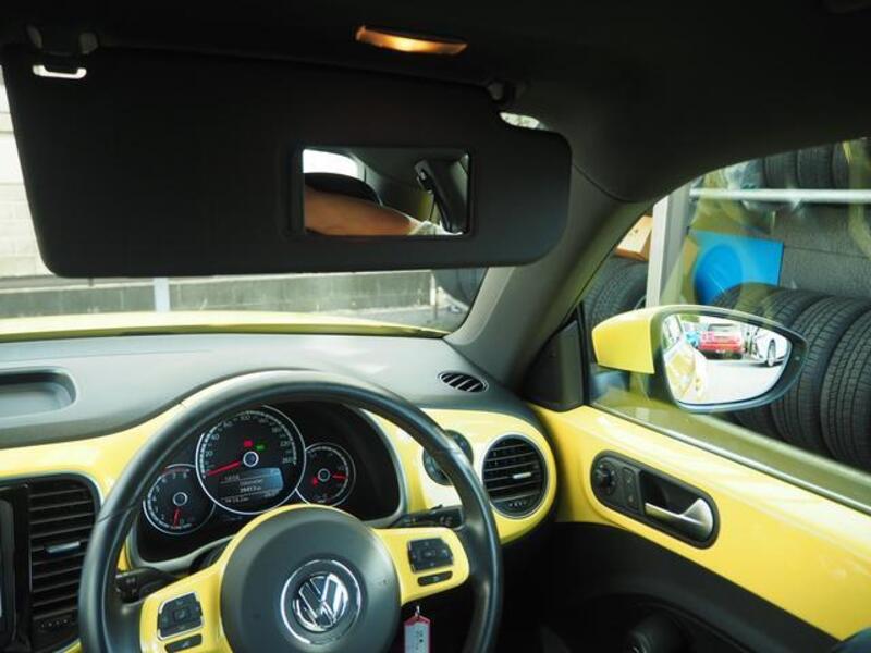 THE BEETLE