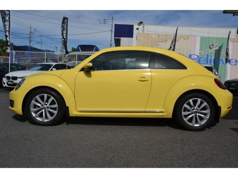 THE BEETLE