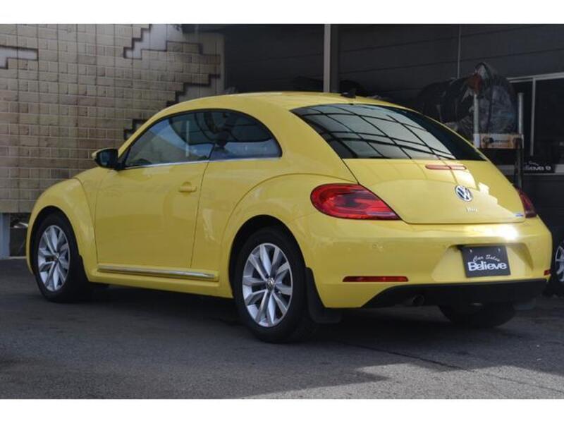 THE BEETLE