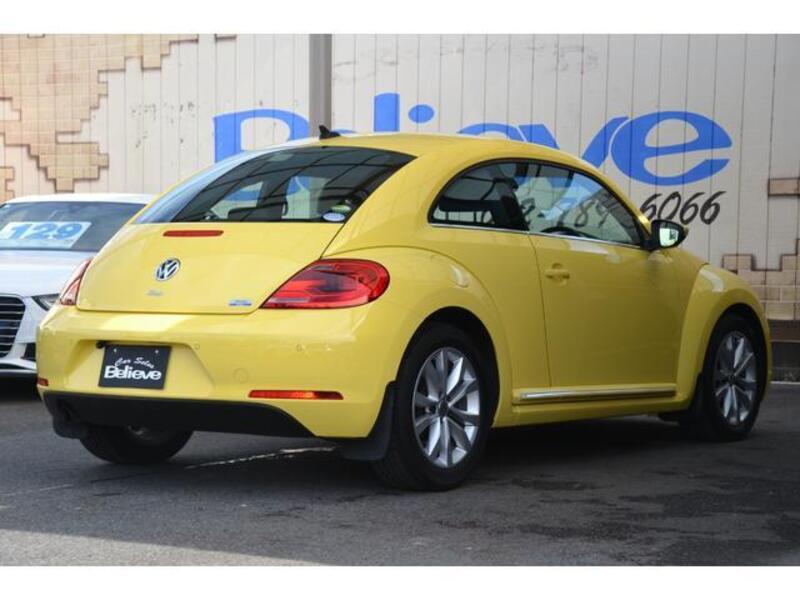 THE BEETLE