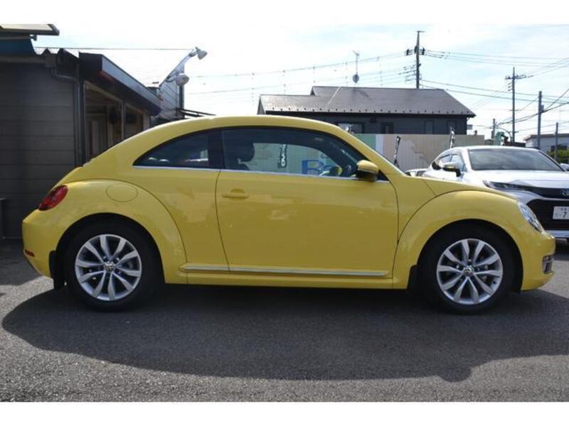 THE BEETLE