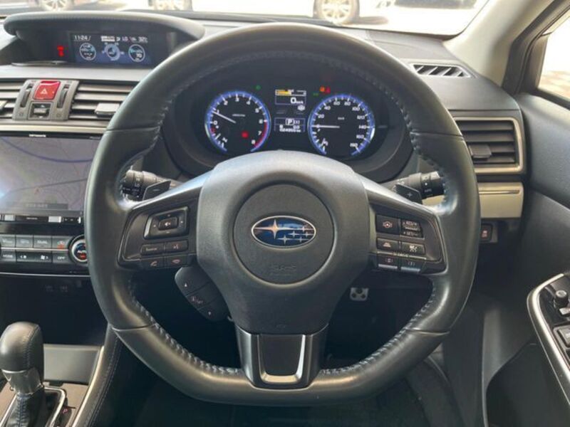 LEVORG