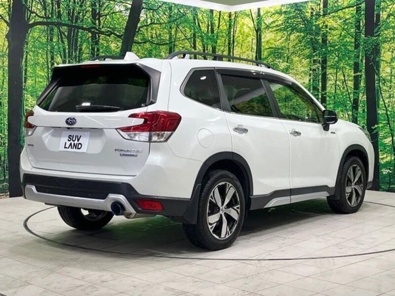 FORESTER