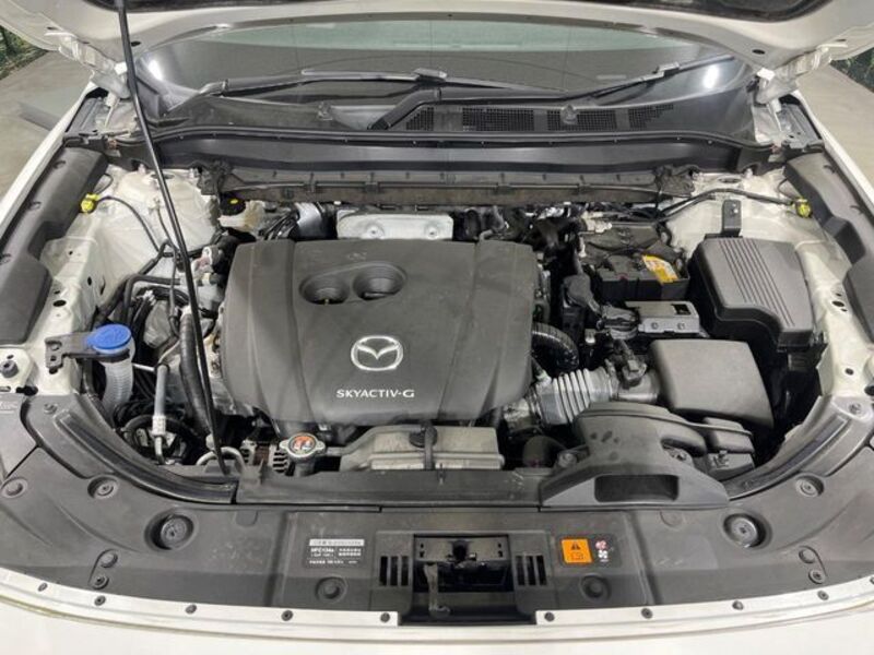 CX-8