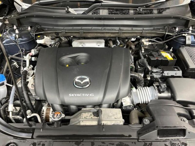 CX-8
