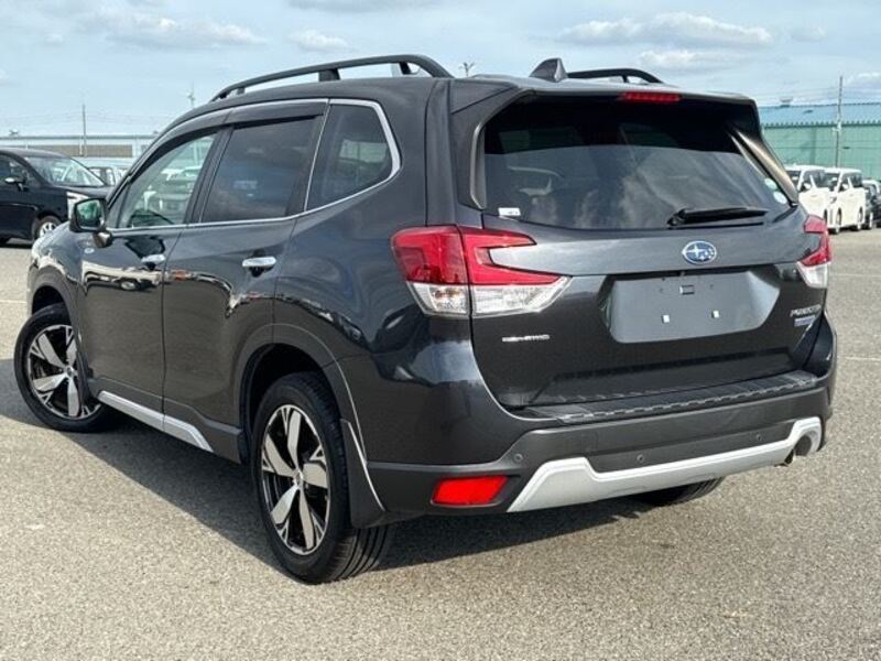 FORESTER