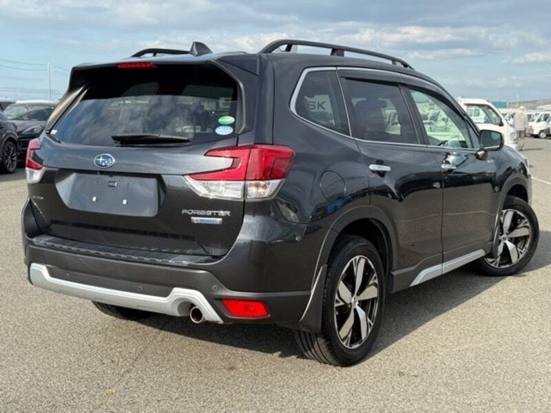 FORESTER