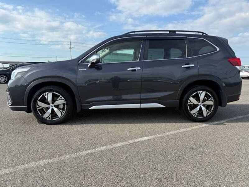 FORESTER