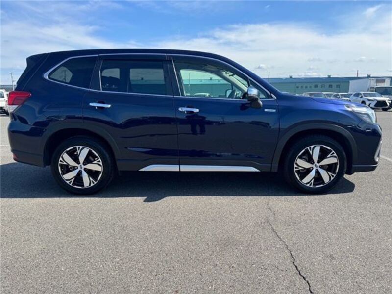 FORESTER