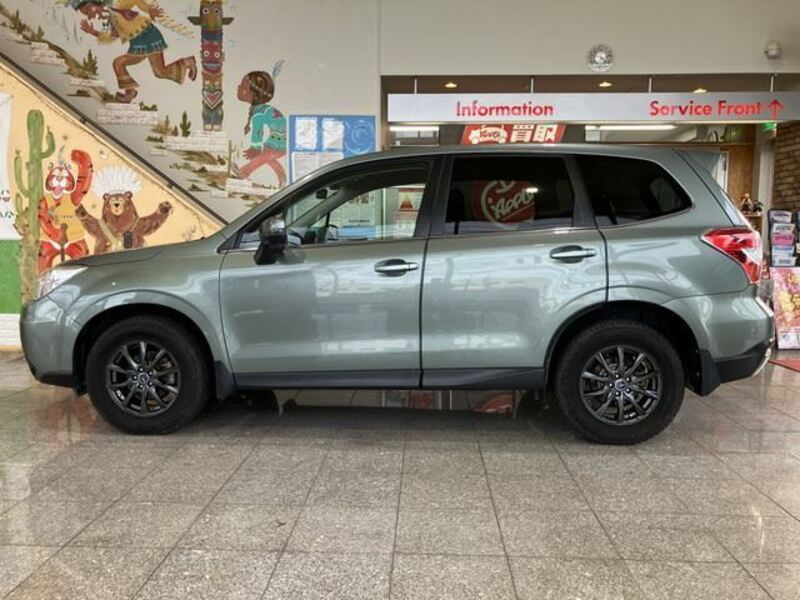 FORESTER