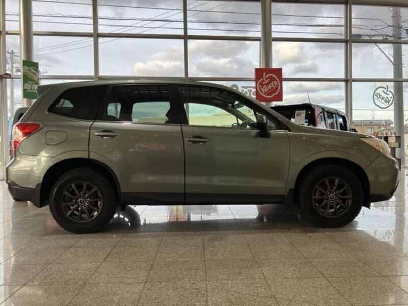 FORESTER