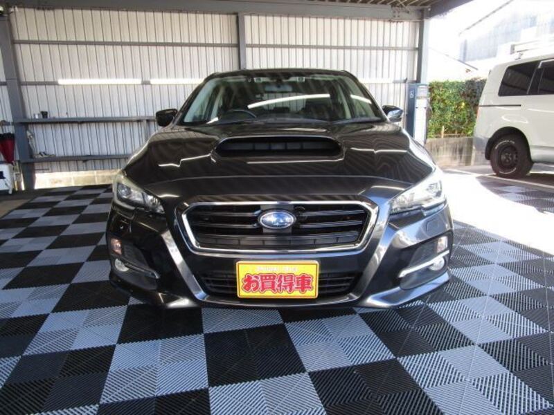 LEVORG