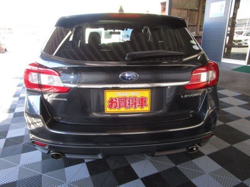 LEVORG