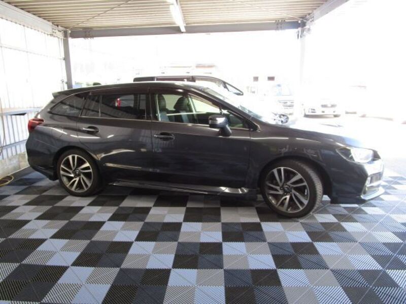 LEVORG
