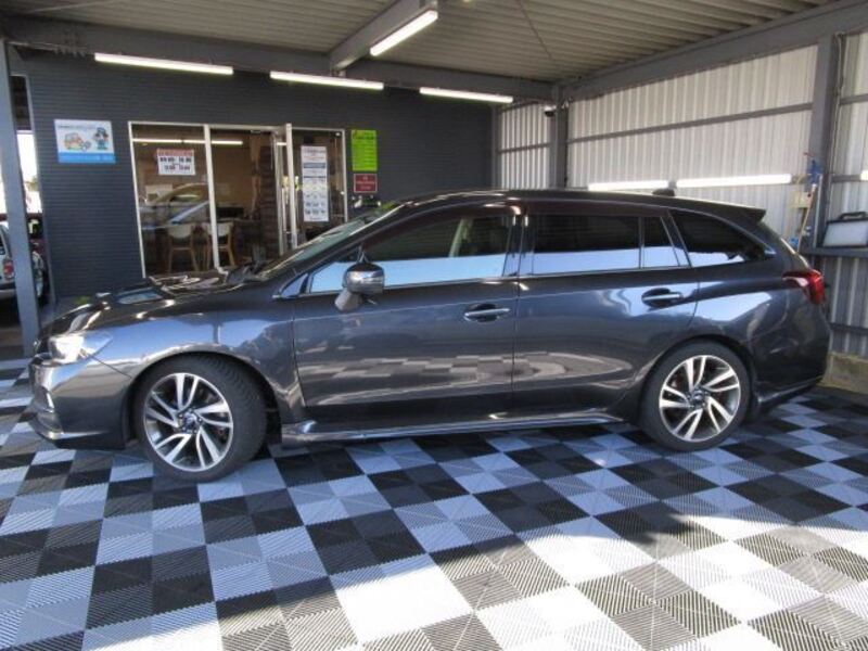 LEVORG