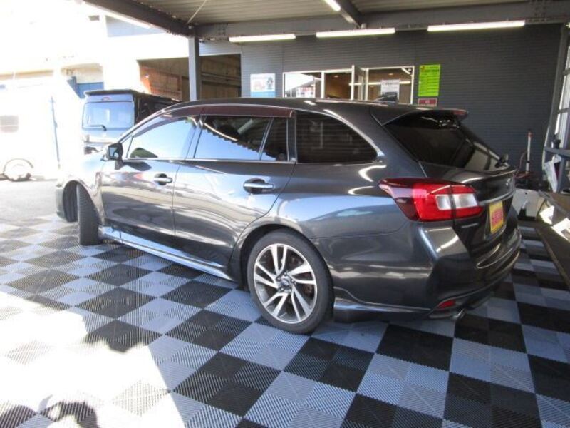 LEVORG