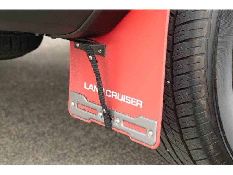 LAND CRUISER 250