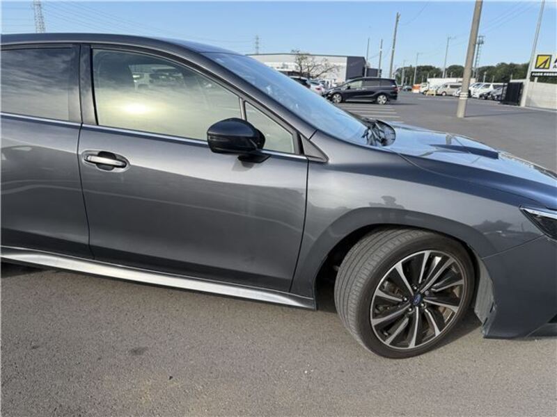 LEVORG