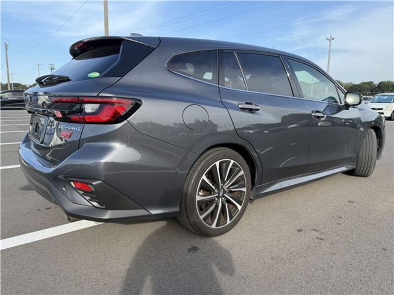 LEVORG