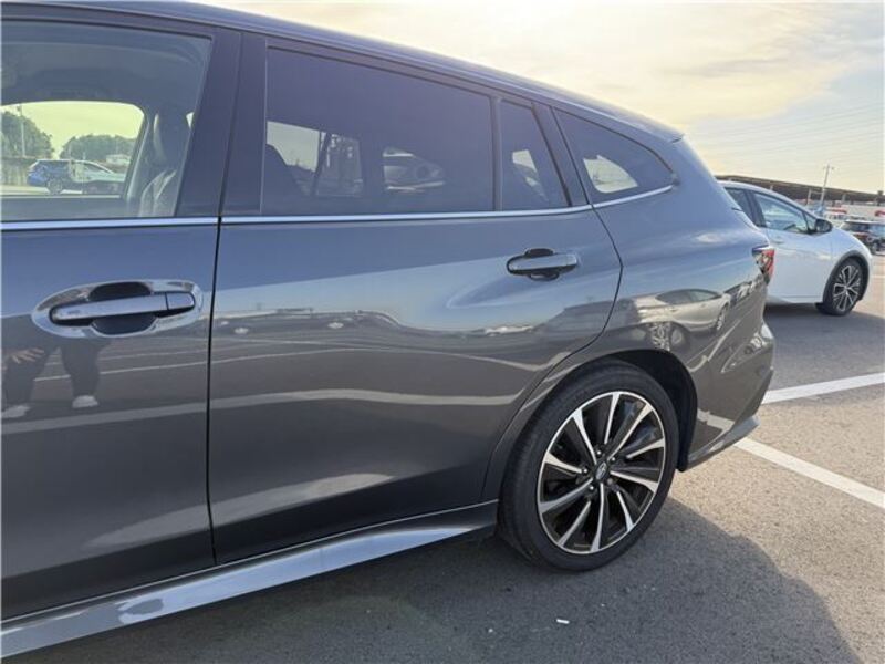 LEVORG
