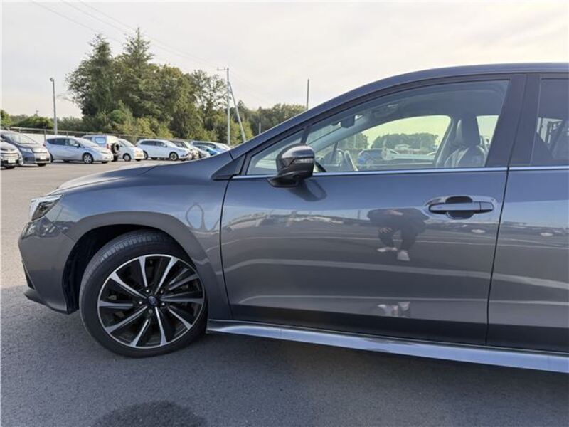 LEVORG