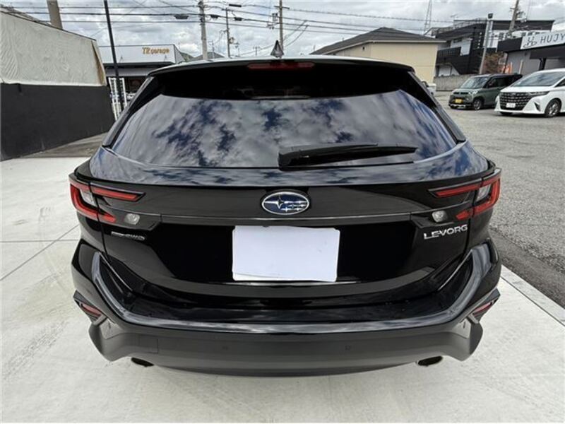 LEVORG