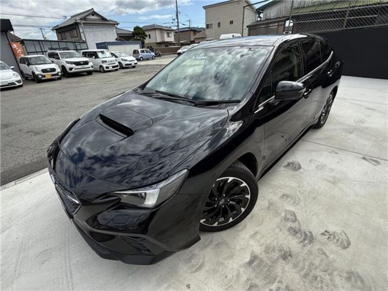 LEVORG