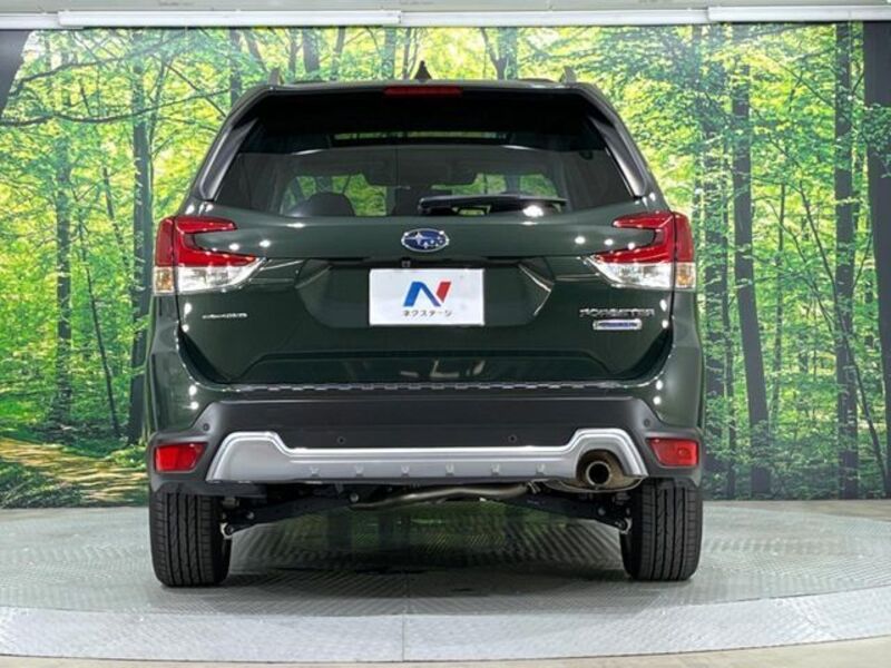 FORESTER