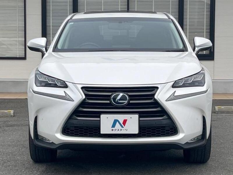 NX