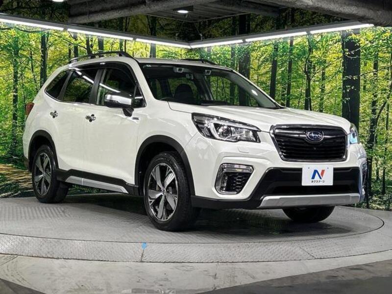 FORESTER