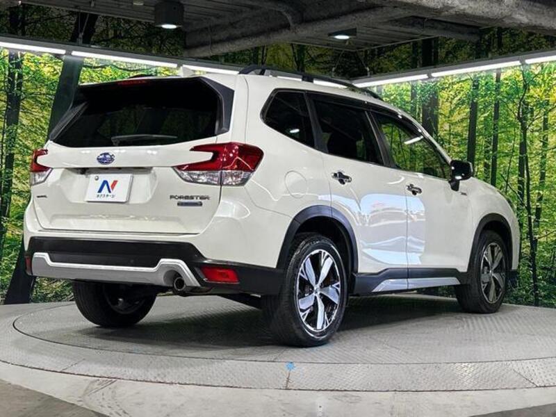 FORESTER