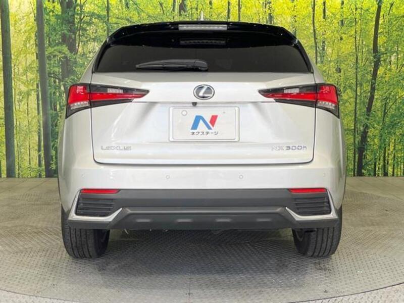 NX