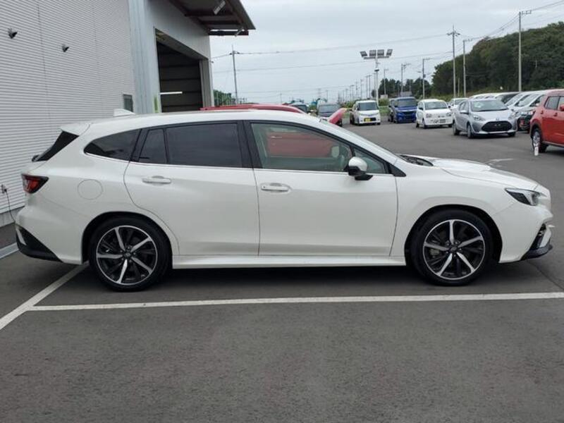 LEVORG
