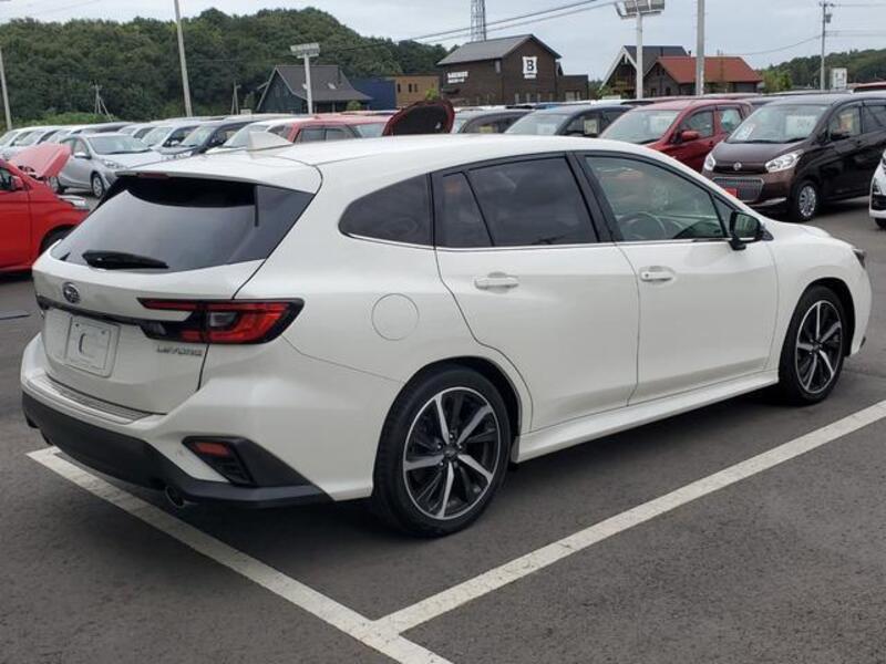 LEVORG